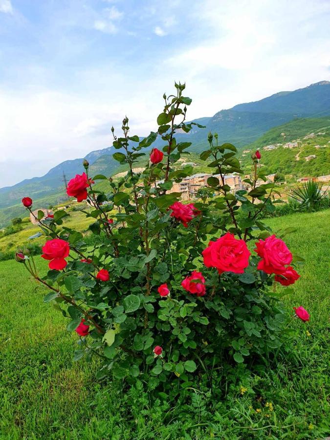 Guest House Ijevan'S Garden Екстер'єр фото