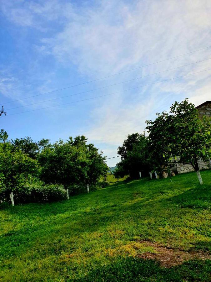 Guest House Ijevan'S Garden Екстер'єр фото