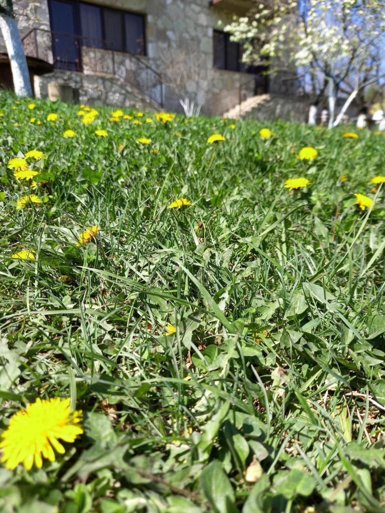 Guest House Ijevan'S Garden Екстер'єр фото