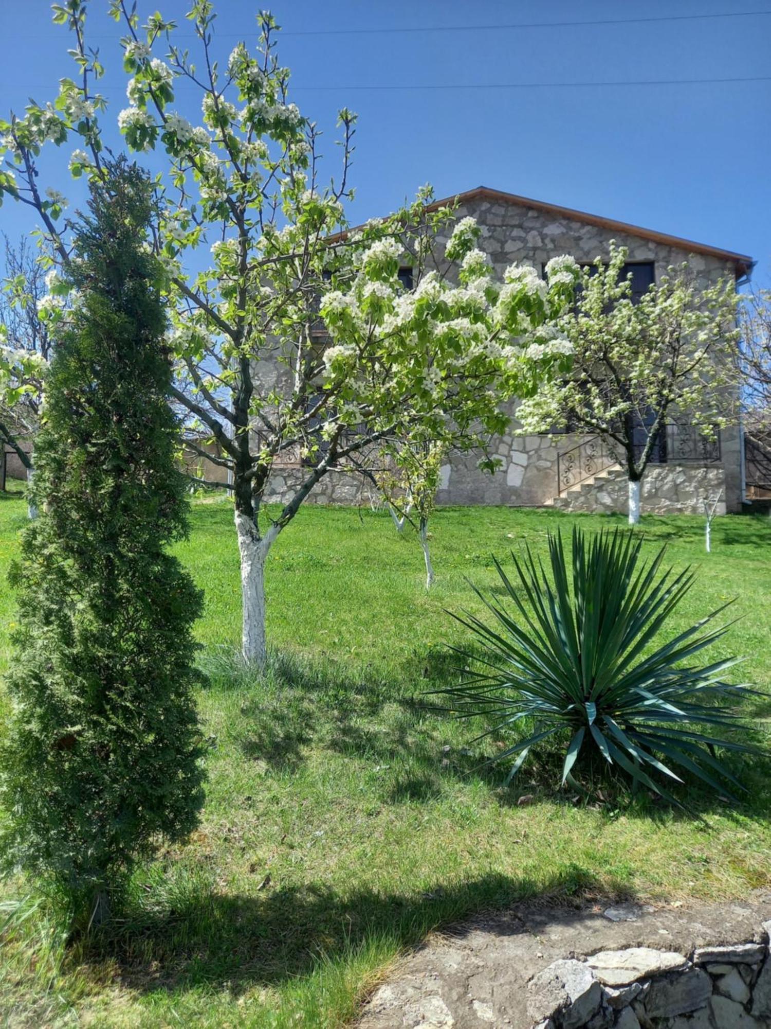 Guest House Ijevan'S Garden Екстер'єр фото