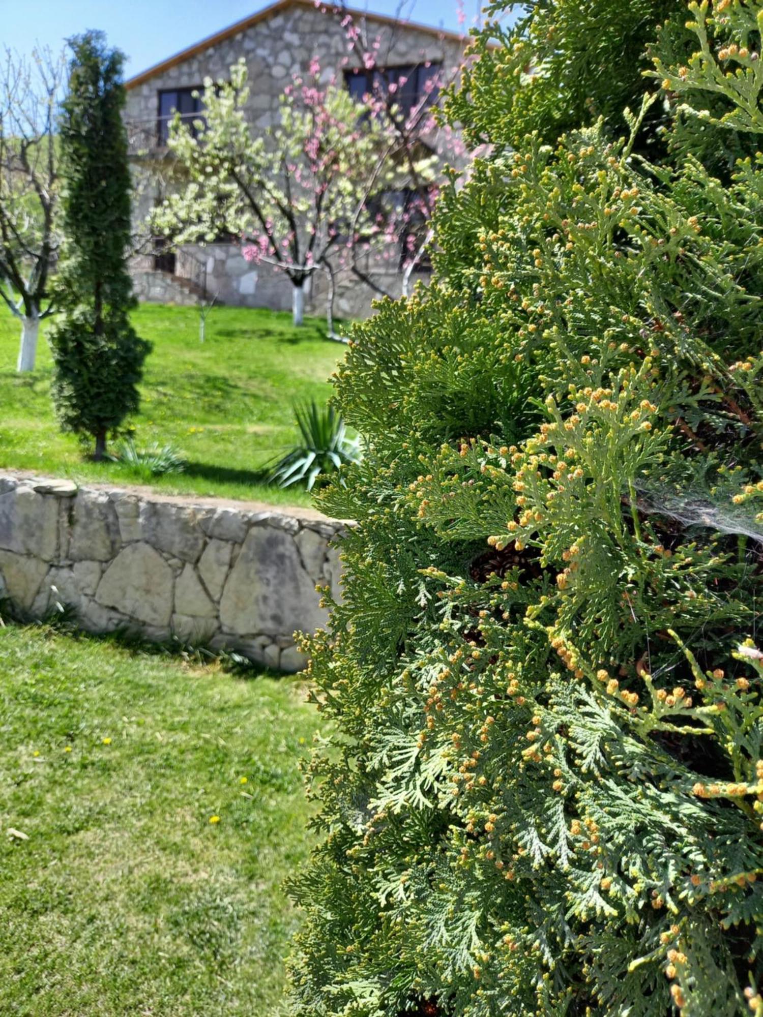 Guest House Ijevan'S Garden Екстер'єр фото