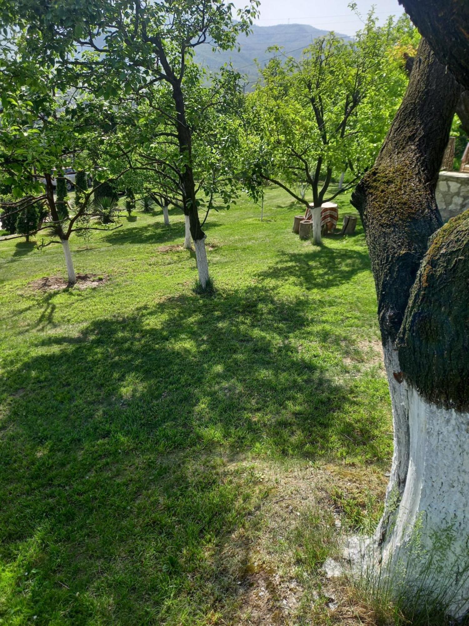 Guest House Ijevan'S Garden Екстер'єр фото