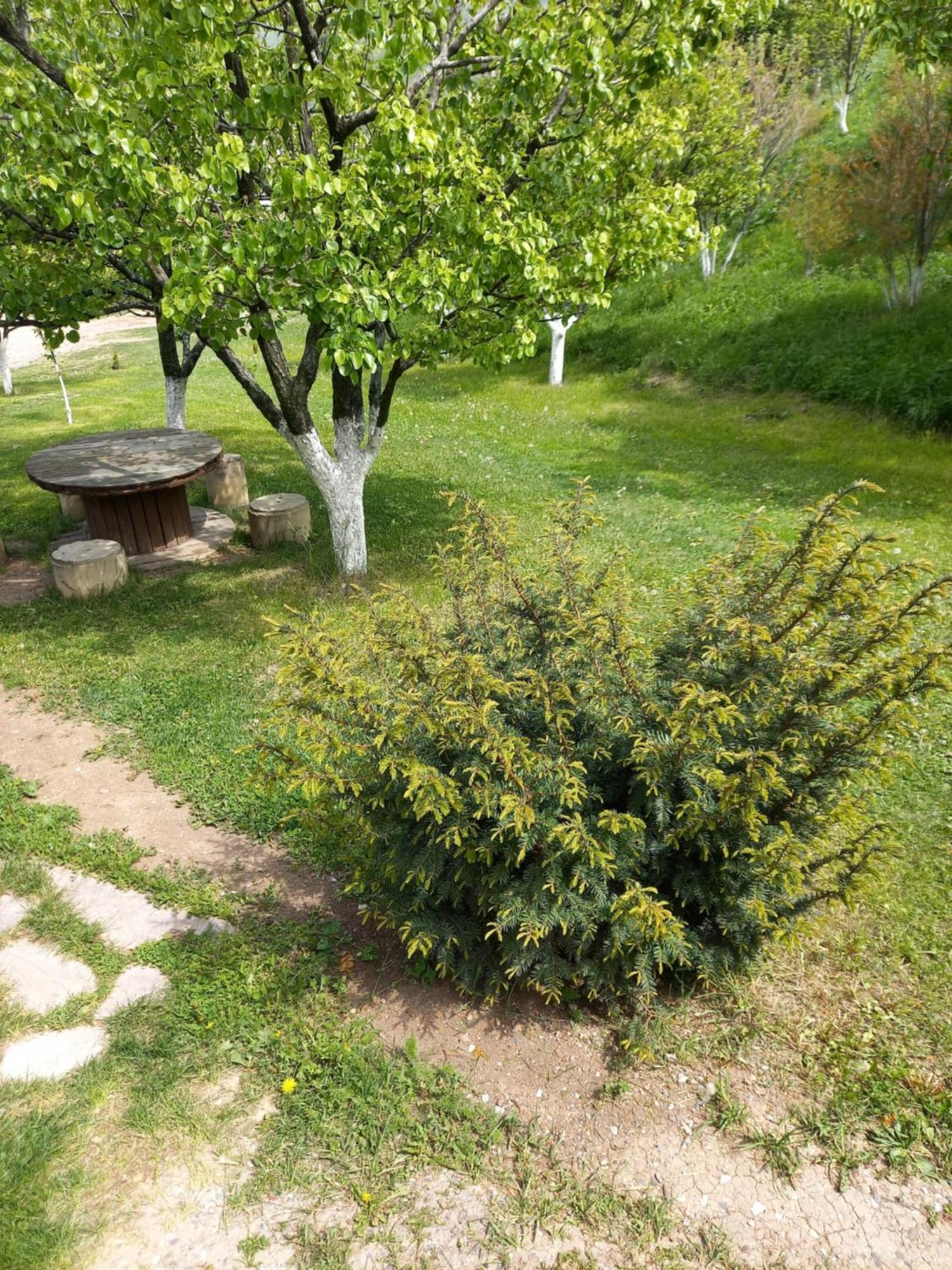 Guest House Ijevan'S Garden Екстер'єр фото