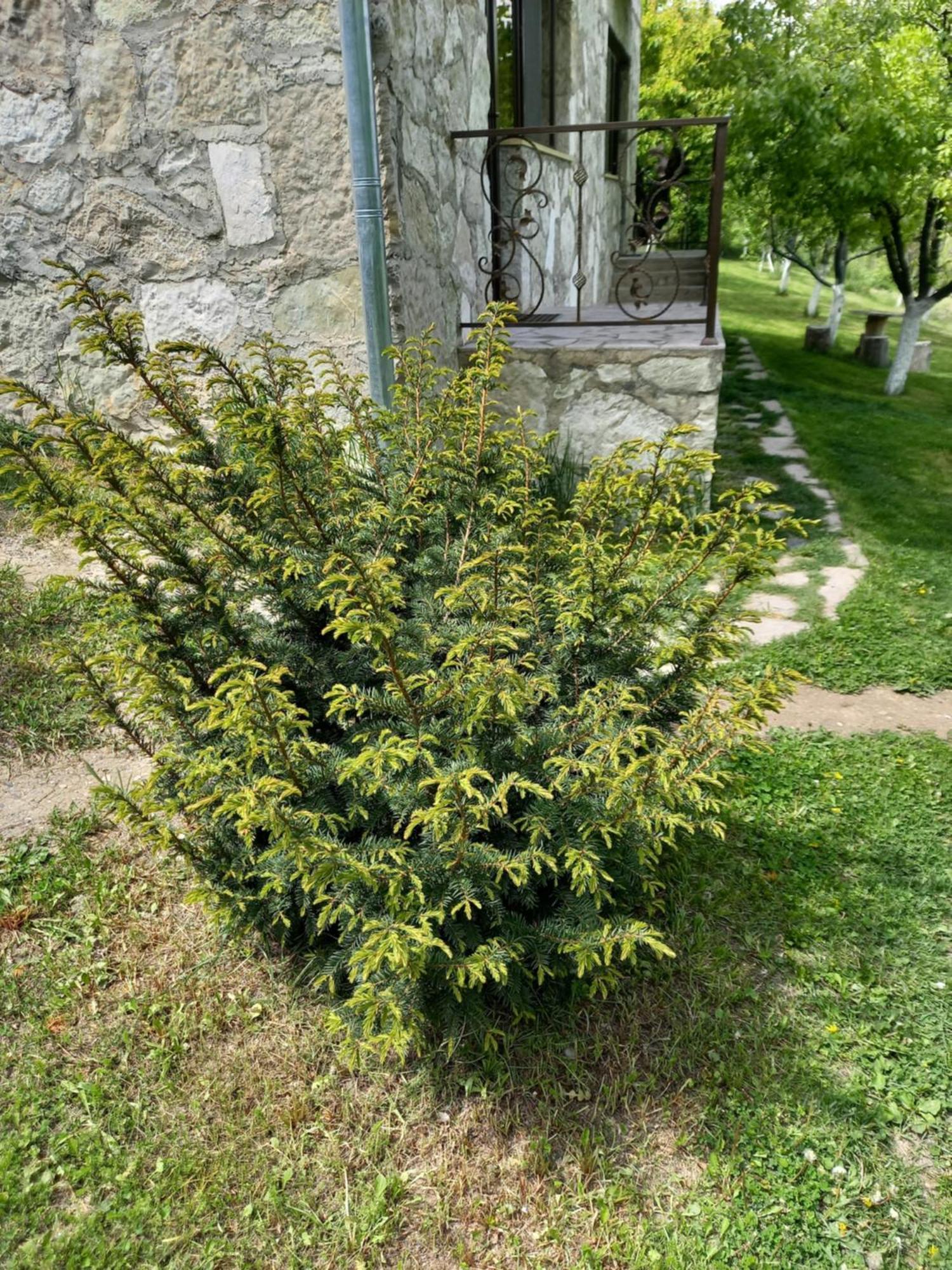 Guest House Ijevan'S Garden Екстер'єр фото