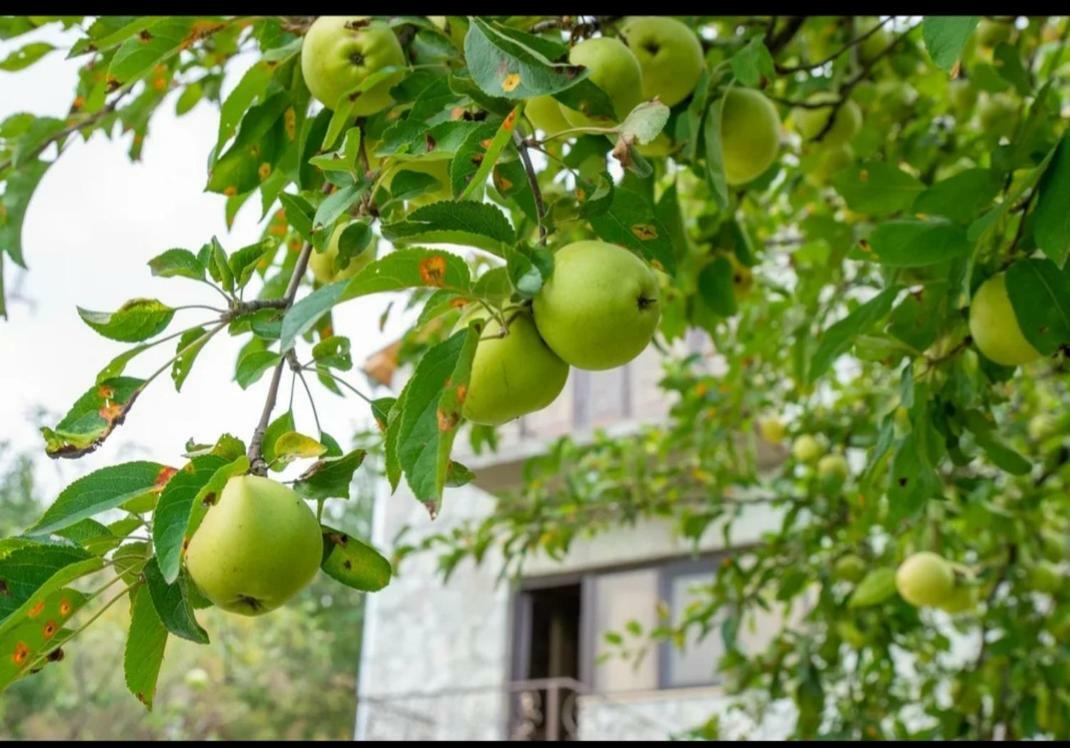 Guest House Ijevan'S Garden Екстер'єр фото