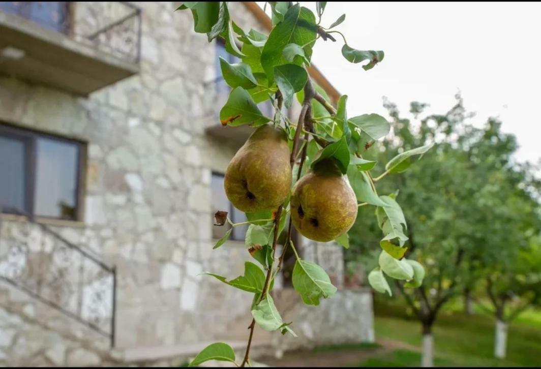 Guest House Ijevan'S Garden Екстер'єр фото